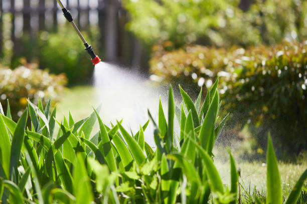 Tamper-Resistant Bait Stations for Rodents in Aliceville