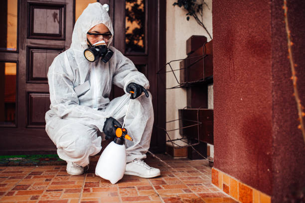 Attic and Crawl Space Rodent Treatment in Aliceville
