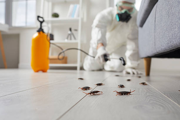 Commercial Rodent Management in Aliceville